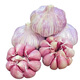 文枝河南大蒜9斤新干蒜紫皮大蒜臘八蒜2024年新干蒜大蒜批發(fā) 9斤 大蒜特大果