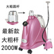 麥爾電器（Maier） 手持立式商用蒸汽燙衣服大功率服裝店用掛燙機婚紗窗簾家用實(shí)用款熨斗PW20L 紫金色