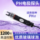 工業(yè)在線ph計(jì) ph復(fù)合電極 ph探頭傳感器 ph檢測(cè)儀 酸堿AC-P-1001 ph電極+10米線