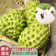 半畝莊園大目釋迦果泰國(guó)進(jìn)口新鮮水果 釋迦摩尼果佛頭果番荔枝禮盒裝順豐 3斤禮盒裝