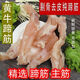 黃牛蹄筋清真牛雜火鍋食材新鮮半熟牛筋低脂肪牛腿筋半成品牛蹄子 2斤牛蹄筋