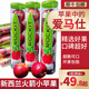 良知農哥【順豐】新西蘭rockit火箭筒樂(lè )淇試管小蘋(píng)果  送禮水果 350g*6筒