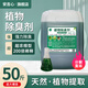 安吉心植物除臭劑垃圾場污水除臭屠宰場養(yǎng)殖場化糞池噴淋塔微生物除臭劑 植物除臭劑200倍【25公斤】