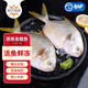 恒興食品 原條金鯧魚(yú) BAP認證深海魚(yú)海鮮火鍋燒烤金昌魚(yú)冷凍生鮮 原條金鯧魚(yú)350g*4條