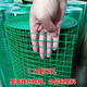 鐵絲網(wǎng)護欄養(yǎng)雞鵝鴨欄網(wǎng)圍欄家用養(yǎng)殖網(wǎng)高速公路防護網(wǎng)格加粗 特價款1米高1.5厘米孔5米長