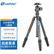 徠圖（Leofoto） LX系列雙全景帶中軸便攜小巧可反折旅行碳纖維三腳架云臺套裝 支持低角度俯拍 LX-224CT+XB-32Q（單全景套裝）