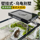 爬將軍壁掛式曬背爬臺復式雙層專(zhuān)用高水位曬臺造景烏龜缸曬臺烏龜陽(yáng)光房 【20cm小號】烏龜陽(yáng)光房