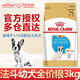 皇家狗糧法國斗牛犬狗糧小型犬成犬幼犬法斗專(zhuān)用狗糧奶糕狗糧全價(jià)小狗 【12月以?xún)取縁BJ30法斗幼犬3KG
