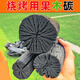 卡拉山木炭 無(wú)煙 燒烤碳 銅火鍋原木炭室內取暖烤火圍爐煮茶荔枝果木炭 燒烤取暖荔枝木炭【10斤】