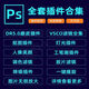遠程安裝ps/ai/ae/pr2025/2024磨皮dr5插件包設(shè)計軟件課程win/Mac PS插件自己安裝（帶安裝教程）