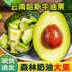 荔口福 正宗云南哈斯牛油果墨西哥進(jìn)口秘魯牛油果新鮮水果寶寶輔食鱷梨 國產(chǎn)牛油果【中果100-130g/個(gè)】 2個(gè)裝