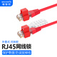 維智控 rj45網(wǎng)線鎖 網(wǎng)絡(luò)端口安全鎖 超五類六類網(wǎng)絡(luò)網(wǎng)線連接器電腦寬帶監(jiān)控跳線鎖扣防拔 紅色【A款】適合平面網(wǎng)口-推薦 100個(gè)+5把鑰匙