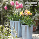 芷郁樹(shù)脂塑料花盆防陶瓷花盆綠植綠蘿月季多肉小花盆室內陽(yáng)臺 中號