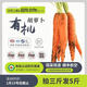 云南露天有機(jī)認(rèn)證胡蘿卜5斤現(xiàn)挖新鮮脆甜榨汁生吃胡蘿卜汁蔬菜 有機(jī)紅皮胡蘿卜5斤