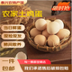 大手哥新鮮散養農家土雞蛋45g/枚 現撿現發(fā) 無(wú)抗生素 谷物喂養 自有農場(chǎng) 30枚土雞蛋【普通裝】