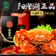 【禮券】湖塘煙雨 陽澄湖大閘蟹禮券螃蟹禮品卡 公6.0兩母4.0兩4對 提貨卡禮盒海鮮水產(chǎn)