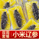 皇家麒麟小米遼參海參粥高湯加熱即食刺參大連海參即食小米粥 雙周套餐14盒