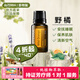 多特瑞（DOTERRA）檸檬精油單方茶樹野橘薰衣草椒樣薄荷乳香生姜按摩油 野橘15ml【清新空氣】