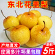 正宗花蓋梨東北鞍山特產(chǎn)軟梨子可做凍梨孕婦水果秋子梨 5斤 【約20個(gè)】【普通快遞】