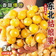 東北姑娘果新鮮黃金果當季時(shí)令水果黃菇娘特產(chǎn)燈籠果甜菇娘大果 精選大果【1斤裝】