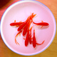 長尾大紅草金魚鳳尾活魚冷水觀賞魚好養(yǎng)耐活淡水魚紅草魚短尾草金 6-8cm紅草金6條