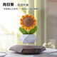 HCNT女朋友生日520禮物辦公室擺件磁懸浮盆栽家居飾品桌面創(chuàng  )意花盆 深色盆栽（贈送紡織花向日葵）