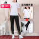 阿迪達(dá)斯 （adidas）女裝套裝 25夏季新款運(yùn)動(dòng)服舒適透氣圓領(lǐng)短袖T恤梭織長(zhǎng)褲 兩件套 IK7442+CW5773 L