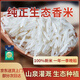 瑤珍 溪谷珍香米10斤 貓牙米 香米 新米 長(zhǎng)粒香米  大米 原生態(tài) 真空
