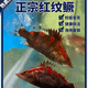 紅紋鱖魚苗觀賞魚活體桂花魚苗紅鱖魚苗淡水養(yǎng)殖食用飼料鱖斑鱖魚 紅紋鱖6-8厘米2條送1條防損