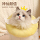 寵情 伊麗莎白圈貓咪項圈寵物防舔舐頸脖絕育伊利莎白恥辱圈寵物頭套 天使黃【防舔防咬+媽咪呵護】 XS【適合1-4斤】