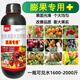 耕豐旺果實(shí)膨大素優(yōu)果防裂果提糖增甜增產(chǎn)瓜果蔬菜通用膨果素膨果專(zhuān)用藥 500克