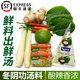 桃李村【順豐】新鮮冬陰功湯料泰式冬蔭功材料套餐酸辣湯料香茅南姜 冬陰功套餐(3-5人量)