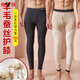 雅鹿加絨保暖褲男冬季考拉絨加厚羊羔絨打底褲高腰加絨褲一體絨薄棉褲 500克加厚深灰色 XL 男士【100-130斤】