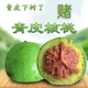 彩荷賭青皮核桃三棱野生文玩手把件四座樓獅子頭（不保三棱）七夕禮物 帶皮57-59mm隨機4個送開皮工具
