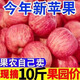 蔬教授正宗陜西紅富士蘋果新鮮水果當(dāng)季整箱紅富士冰糖心一級(jí)脆甜 9斤精選大果