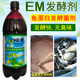益富源魚(yú)蛋白發(fā)酵劑em菌液魚(yú)腸水溶肥化渣不臭菌液氨基酸菌種粉酶爛魚(yú)肉 em菌液魚(yú)蛋白發(fā)酵（1瓶2斤）