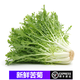 桃李村【順豐】新鮮苦菊 苦葉生菜 苦細葉苦葉生菜苦苣 沙拉菜 500g