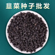 韭菜種籽韭菜種子韭菜籽種韭菜種植根香寬葉四季紫根韭菜蔬菜 韭菜種子一斤