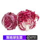 桃李村【順豐】新鮮落地球生菜 紫苣 紅菊苣 紅葉包菜 沙拉菜 250g