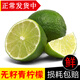 辰實【現(xiàn)貨】新鮮無籽青檸檬 綠皮小青檸 現(xiàn)摘薄皮檸檬奶茶飲品店用 3斤
