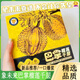 象未來巴掌榴蓮千層蛋糕象牌冷凍貓山王爆漿生日蛋糕甜點禮物4寸 象未來巴掌榴蓮千層400g*3盒