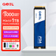 GEIL金邦P3固態(tài)硬盤臺式機SSD筆記本臺式機電腦M.2(NVMe協(xié)議)高速m2主機游戲PCIE3.0存儲盤PS5固態(tài)硬盤 P3A 1T 3000MB/S