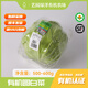 有機圓白菜包菜卷心菜 約500-600g|份 新鮮采摘|葉片水潤|微帶清 500-600g