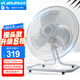 金羚（JINLING）搖頭趴地扇 家用金屬臺地扇強力電風(fēng)扇臺式大功率落地扇搖頭工業(yè)電風(fēng)扇 20英寸FE8-50S8（8檔）