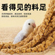 海伊朵谷穗谷子穗小米穗鸚鵡倉鼠糧食天然麥穗鳥(niǎo)食飼料虎皮玄風(fēng)牡丹玩具 麥穗【6束】