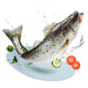 鴻順?三去海鱸魚3斤3條 去鱗去腮去內(nèi)臟 國產(chǎn) 生鮮魚類 源頭直發(fā)