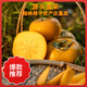 土產(chǎn)邦廣西桂林脆柿脆甜硬柿子新鮮水果清新恭城脆甜多汁當(dāng)季獨立包裝盒 1斤