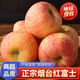 澤華果品山東煙臺(tái)棲霞紅富士蘋果冰糖心脆甜新鮮水果整箱源頭直發(fā)包郵 凈重3斤小果4-9個(gè) 源頭直發(fā)