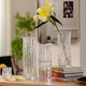 涵蔚高級感透明玻璃花瓶擺件插花水養百合玫瑰鮮花插花瓶客廳餐桌裝飾