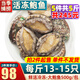 首鮮道冷凍大鮑魚(yú)鮮活速凍 500g生鮮 貝類(lèi)海鮮水產(chǎn) 冷凍大鮑魚(yú)13-15頭